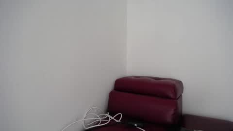 dominic_sofia online show from November 2025 04:07:01 PM