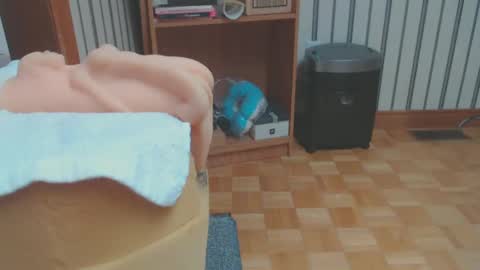 Don online show from February 2025 08:18:01 PM