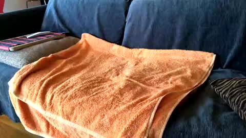 Alfredo online show from February 2025 08:55:01 AM