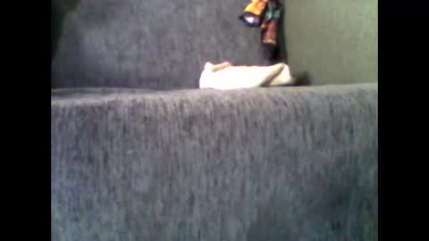 Alfredo online show from November 2025 07:51:01 AM