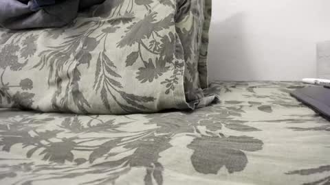 menu  below online show from December 2024 02:47:02 PM