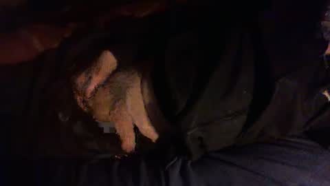 Hello  welcome to Slutsville  I am the Naked Chef  really  but you may call me Peter online show from January 2026 06:32:02 PM