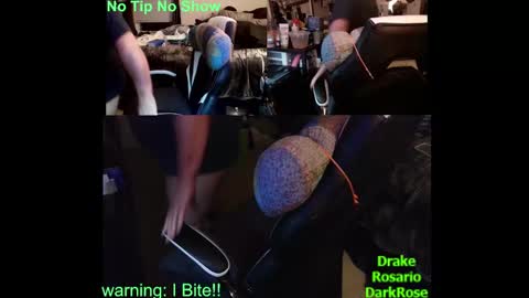 Drake D Vamp aka Drake DarkRose online show from January 2025 09:30:01 AM