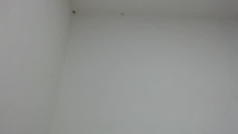 Snapshot of drako_monstercock chatting on January 2026 10:46:01 PM drako_monstercock online show from January 2026 10:46:01 PM