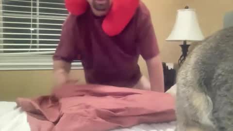 Snapshot of drboobology chatting on November 2025 01:51:02 AM Dr of Boobs and Bras online show from November 2025 01:51:02 AM