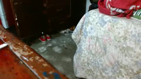 dreamreal online show from October 2025 10:52:02 AM