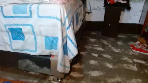 dreamreal online show from December 2025 11:27:02 AM