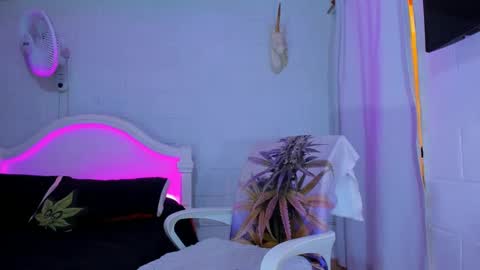 Snapshot of drippyorlove chatting on September 2025 08:21:01 PM drippyorlove online show from September 2025 08:21:01 PM