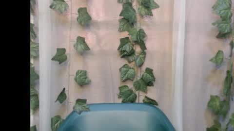 linda online show from September 2025 12:27:01 PM