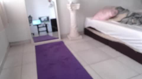 Drogama online show from February 2025 12:28:01 PM