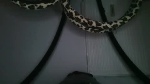 drolyts online show from February 2026 03:05:02 AM