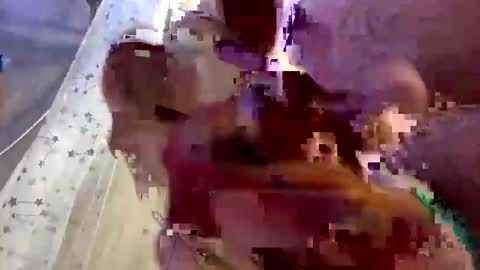 droppingloads82 online show from February 2025 07:15:02 AM