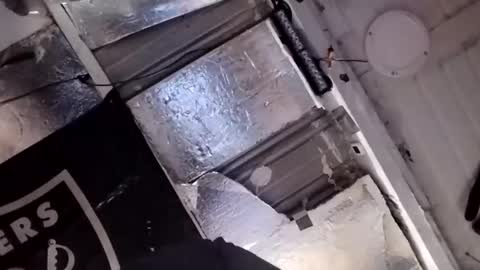 dsmock online show from February 2026 10:58:01 AM