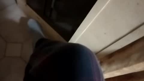 dthedog12 online show from October 2025 11:17:02 PM