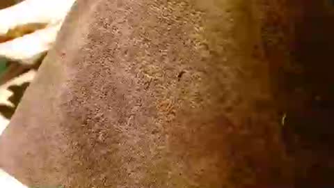 dunany101 online show from January 2025 12:57:02 AM