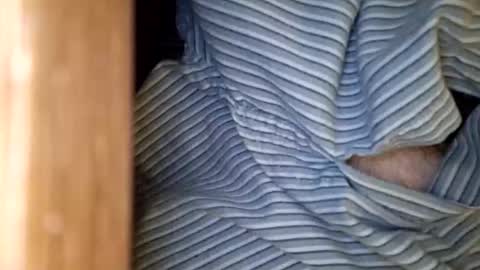 dVe1oPe online show from January 2026 09:47:02 AM