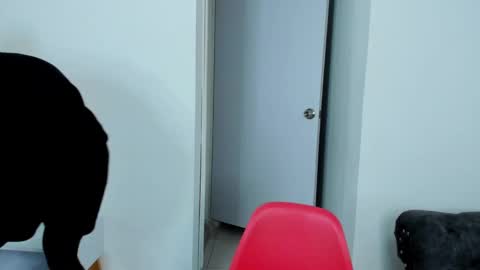 Dylan Taylor online show from October 2025 04:00:01 AM