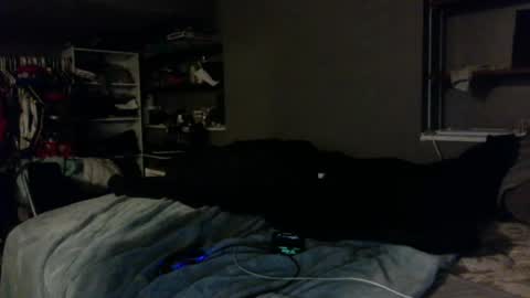 Snapshot of dynasty801 chatting on October 2025 08:46:01 AM nastyboi801 online show from October 2025 08:46:01 AM