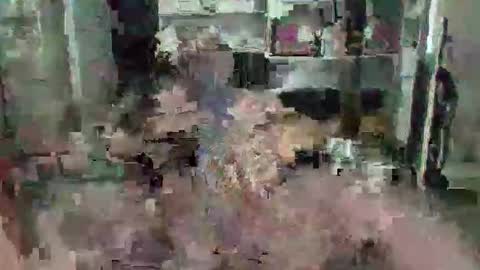 Snapshot of eagleye46 chatting on December 2024 04:47:02 PM eagleye46 online show from December 2024 04:47:02 PM