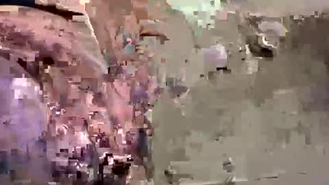 Snapshot of easye4015 chatting on January 2025 07:41:02 PM Easye online show from January 2025 07:41:02 PM