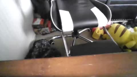 Snapshot of eddy815 chatting on November 2025 10:53:02 PM eddy815 online show from November 2025 10:53:02 PM