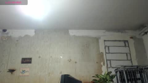 Snapshot of edifox chatting on December 2024 04:59:02 PM Alexander online show from December 2024 04:59:02 PM