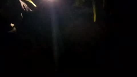 edmore1215 online show from January 2025 10:17:01 AM