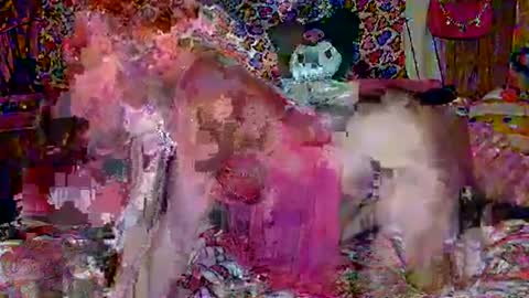 Sparkly Haile online show from February 2025 03:42:01 AM