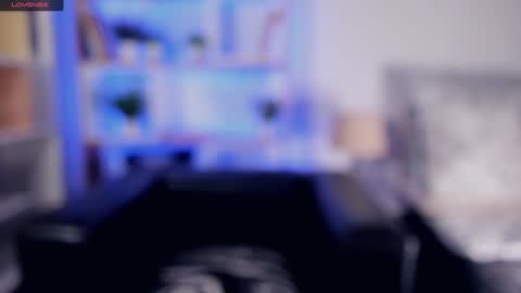 Elis 3 online show from January 2025 11:54:01 PM