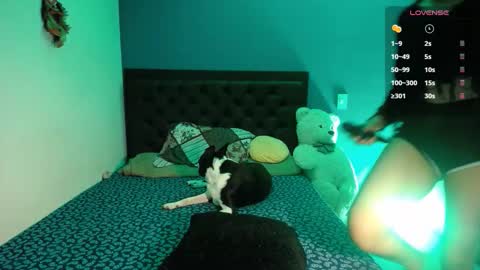 Ela  Help me reach 100 thumbs up online show from September 2025 03:10:01 AM