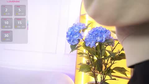 Elasummeer online show from November 2025 11:43:02 AM