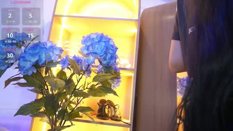 Elasummeer online show from November 2025 11:54:02 AM