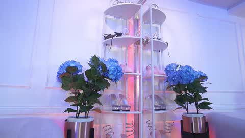 Elasummeer online show from February 2026 11:50:01 AM