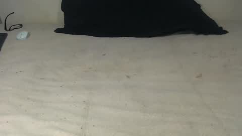 elgsslt online show from October 2025 10:49:02 AM