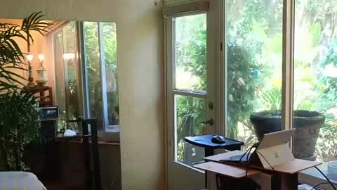 Snapshot of eliberator chatting on June 2026 03:32:02 PM eliberator online show from June 2026 03:32:02 PM