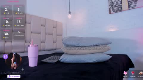 Snapshot of eliizabeth_roberts chatting on December 2024 08:48:01 AM E L I I Z A B E T H online show from December 2024 08:48:01 AM