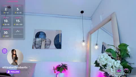 Snapshot of eliizabeth_roberts chatting on February 2025 07:28:02 AM E L I I Z A B E T H online show from February 2025 07:28:02 AM