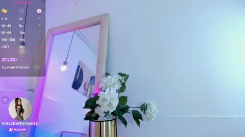 Snapshot of eliizabeth_roberts chatting on March 2025 07:38:02 AM E L I I Z A B E T H online show from March 2025 07:38:02 AM