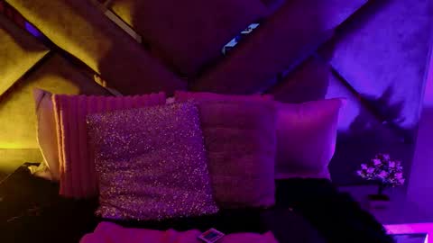 elit noa online show from February 2026 07:37:02 AM