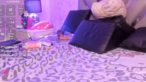         online show from November 2025 04:56:01 AM