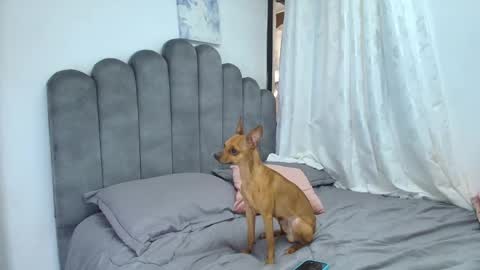 emma_saenz01 online show from February 2026 08:37:02 PM