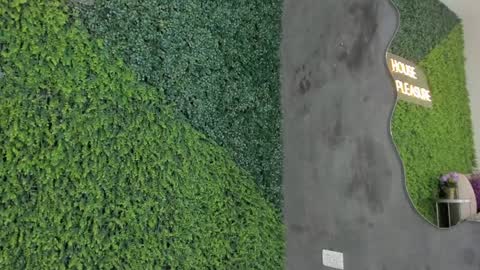 Snapshot of emmiily_z chatting on January 2025 11:13:02 PM Emmiily online show from January 2025 11:13:02 PM