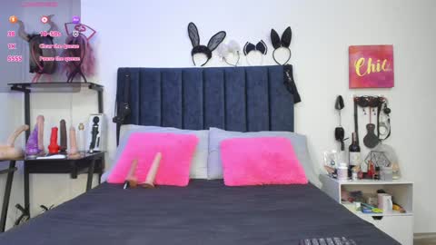          online show from January 2025 11:54:02 AM