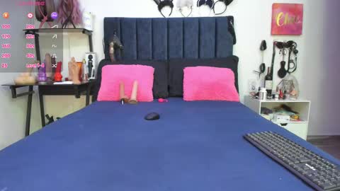          online show from February 2025 11:52:01 AM