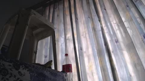 Eolicasextwo online show from February 2025 05:21:01 PM