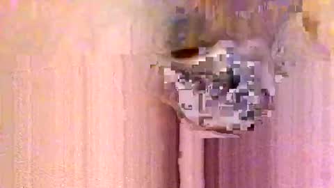 take it easy online show from January 2026 12:54:02 PM