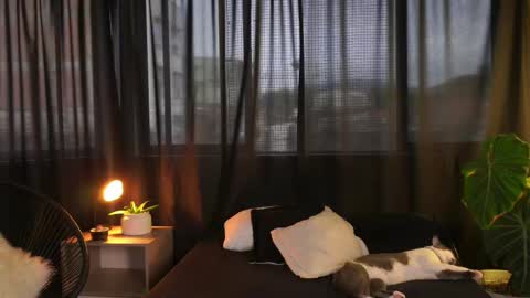 Eros Wild online show from December 2025 09:53:02 PM