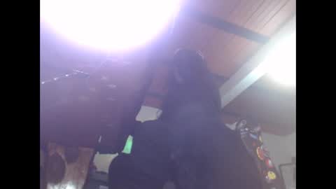 Eskela911 online show from February 2025 05:37:02 AM