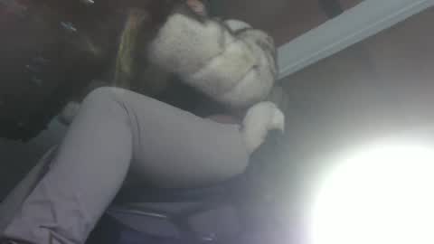 Eskela911 online show from February 2025 03:26:02 AM