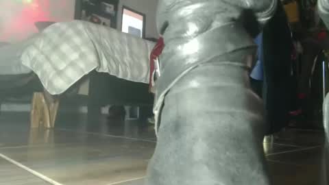 Eskela911 online show from October 2025 07:44:02 PM